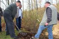 Pflanzung Baum des Jahres 2014 am Kohlberg